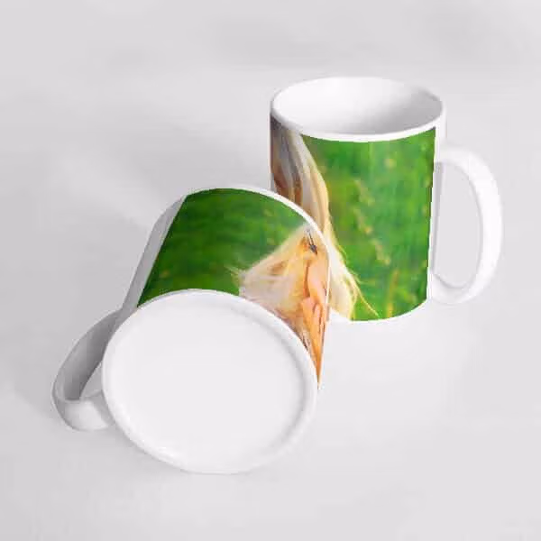 Photo print on mug – photo mug online