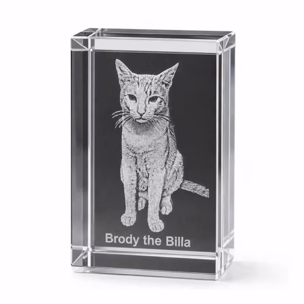 Personalized 3D crystal block with a custom laser engraved pet photo inside premium optical crystal.